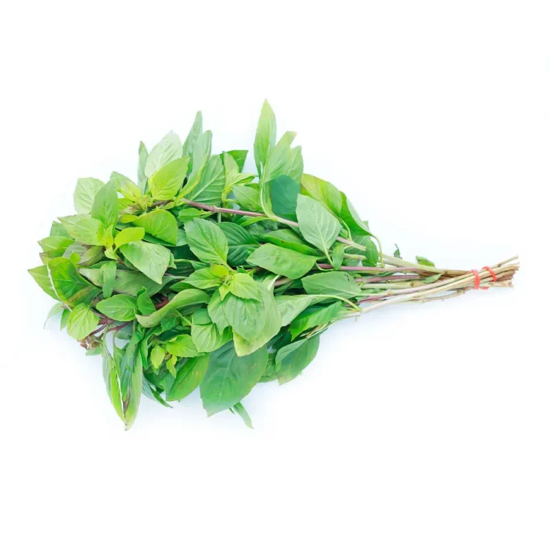 Albahaca fresca x atado