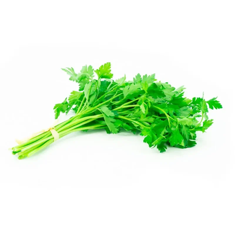 Culantro Fresco x atado