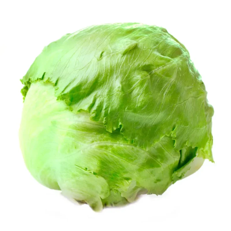 Lechuga Americana x unid