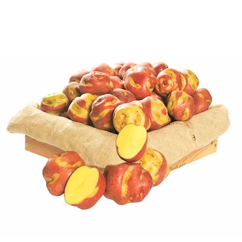 Papa Amarilla Peruanita x kg